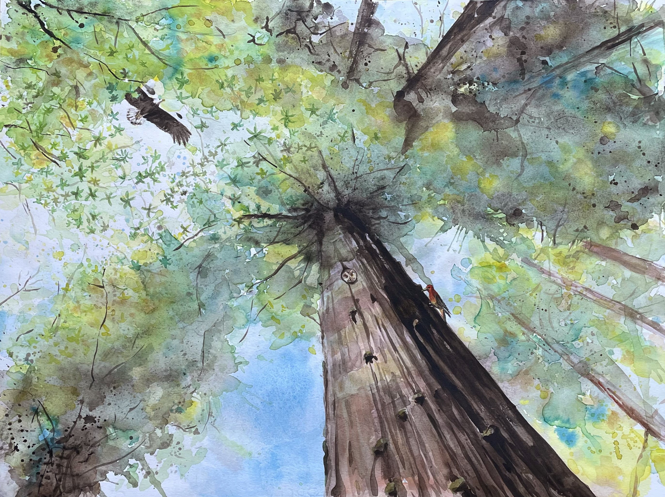 Rainforest Loop: Look Up, Folded Art Card