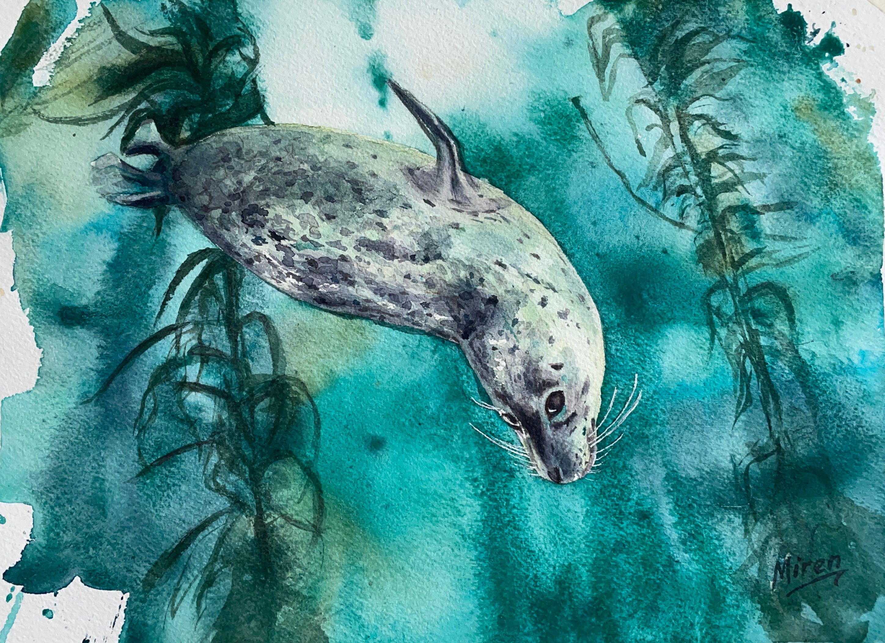 Seal Diving Folded Art Card