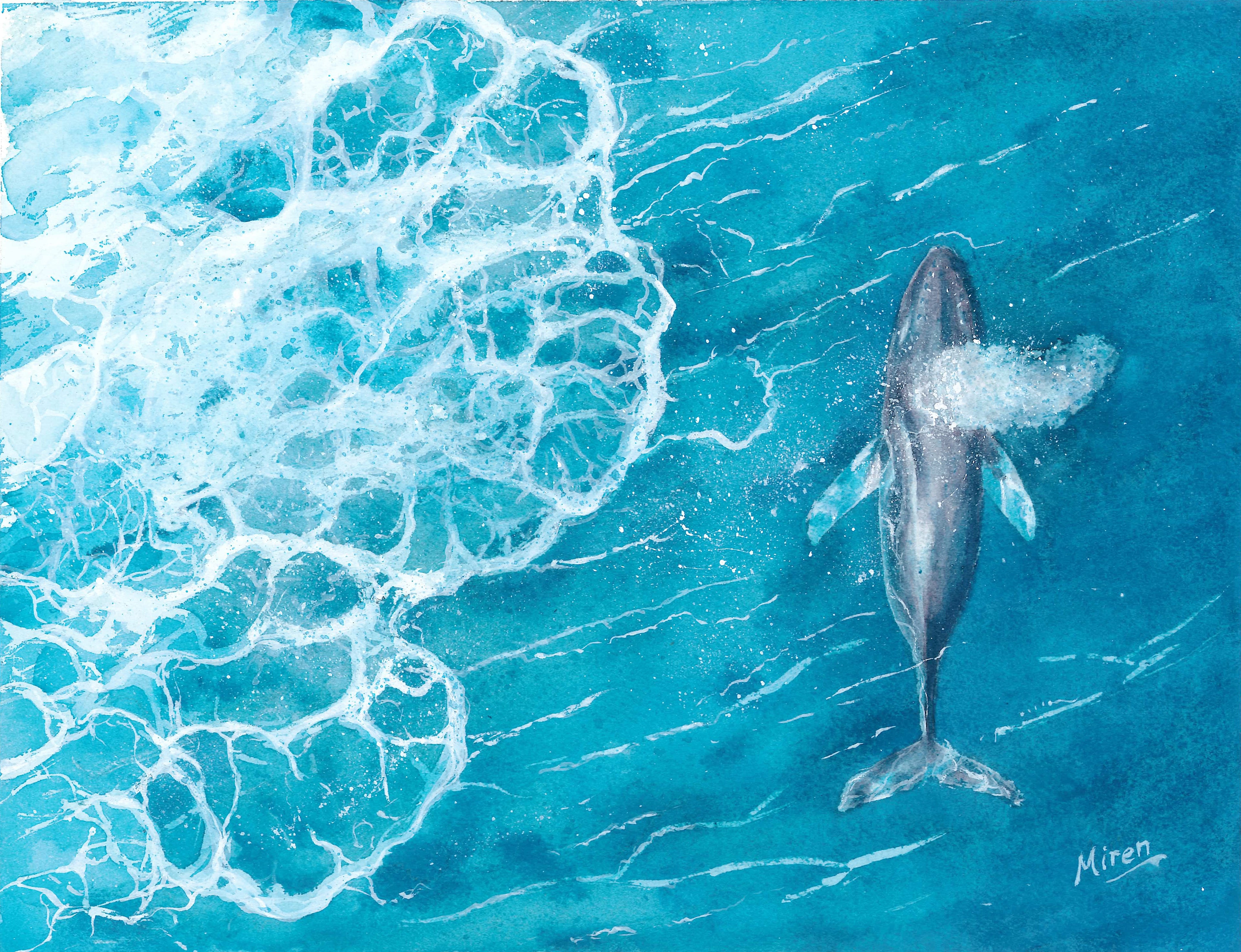 Wave Whale Folded Art Card